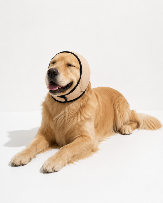 CalmPaw™ | Bonnet Anti-Bruit-Stress pour Chien