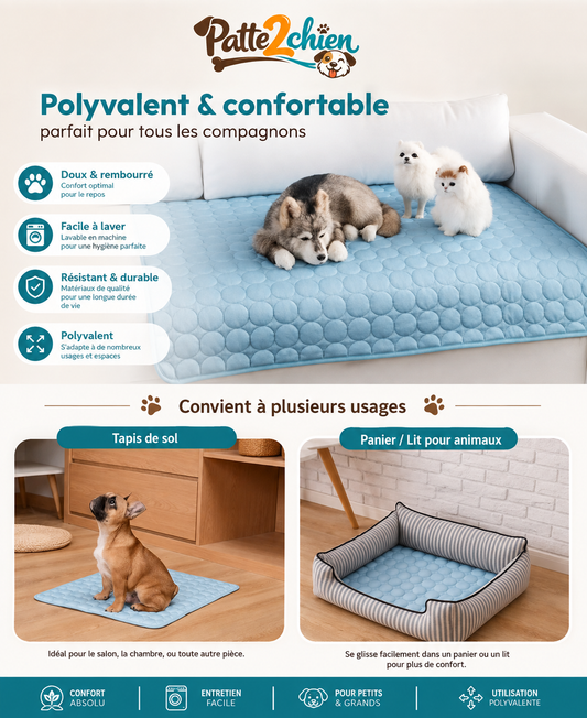 FreshPaw™ | Tapis Rafraîchissant pour Chien