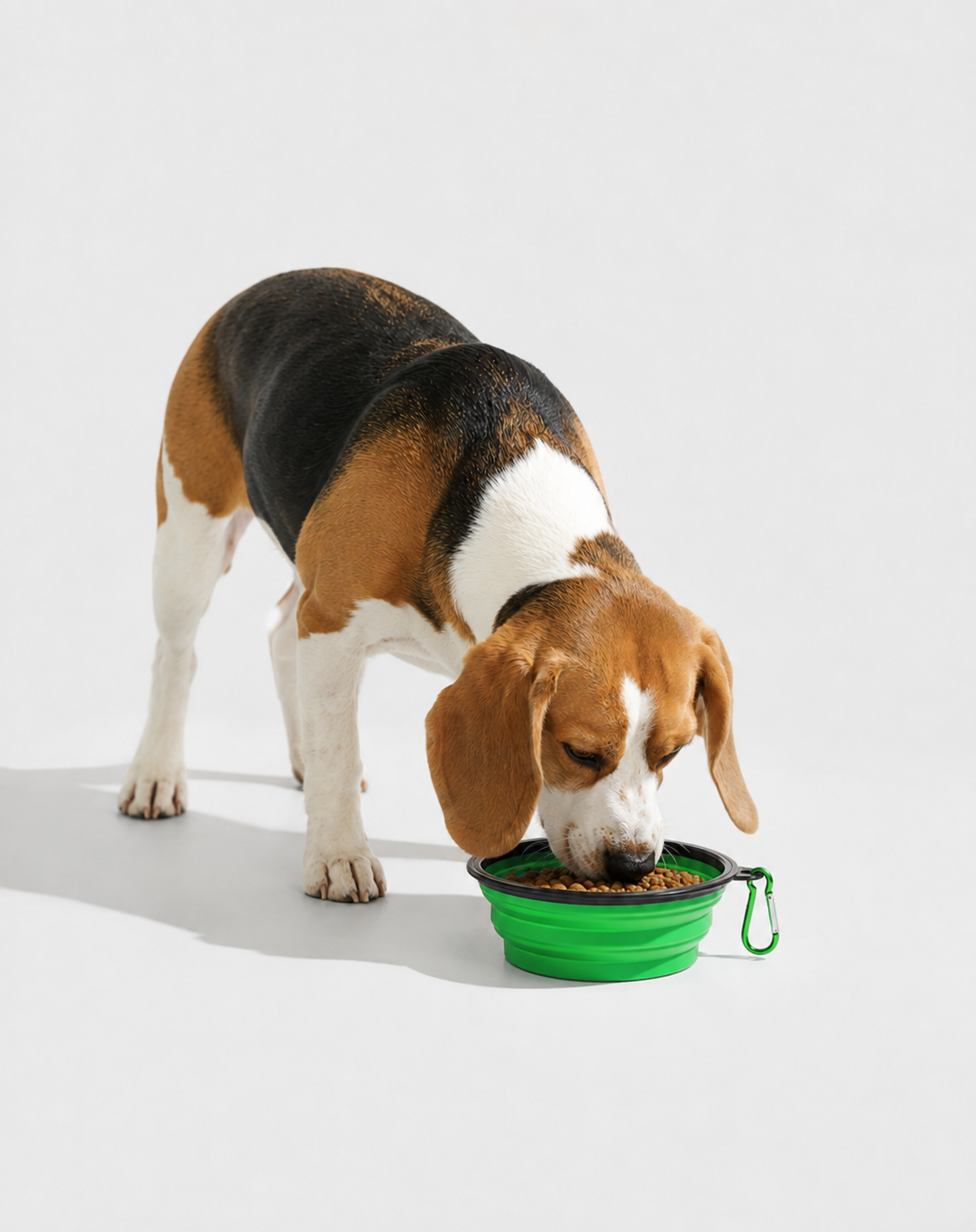 SnackPaw™ | Gamelle pliable pour Chien