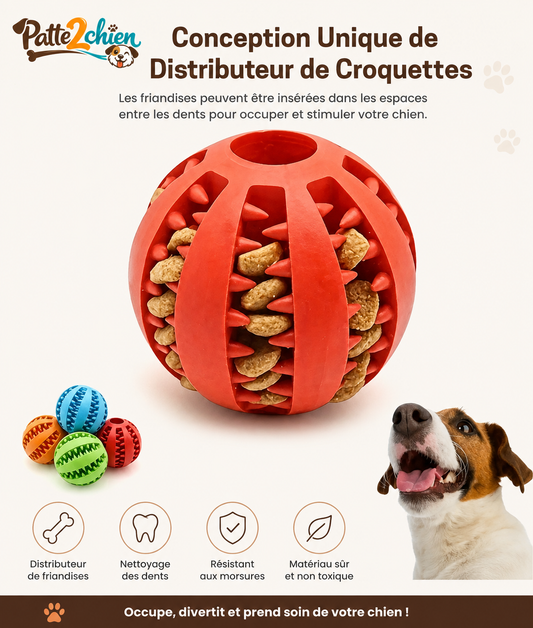 PlayPaw™ | Balle Interactive à Friandises et Dentition pour Chien