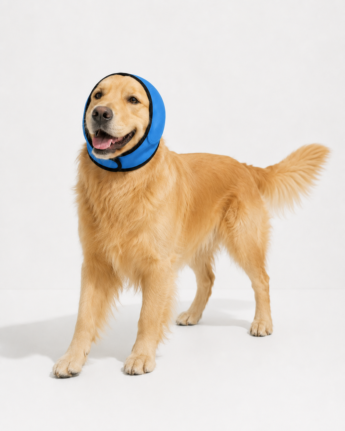 CalmPaw™ | Bonnet Anti-Bruit-Stress pour Chien