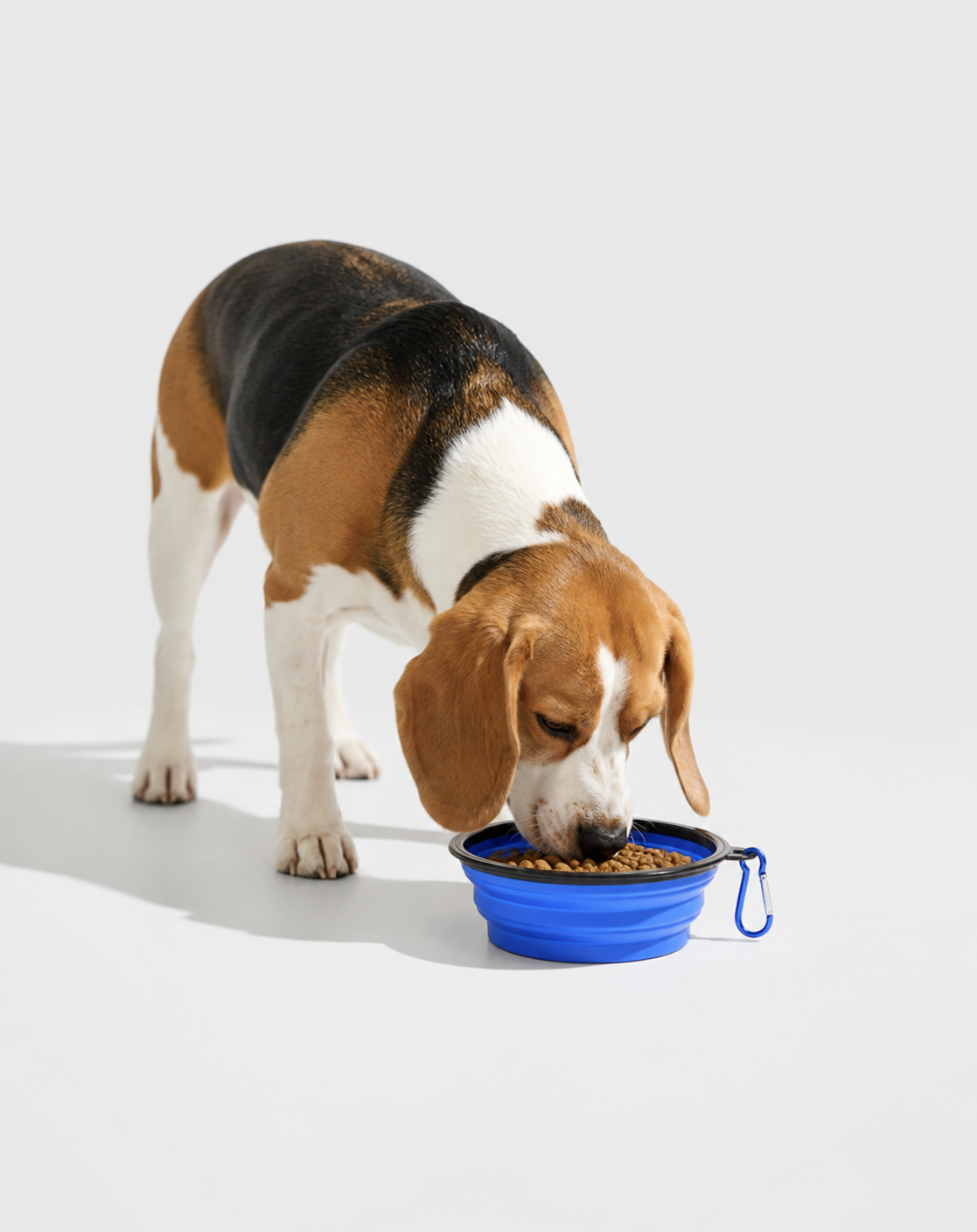 SnackPaw™ | Gamelle pliable pour Chien