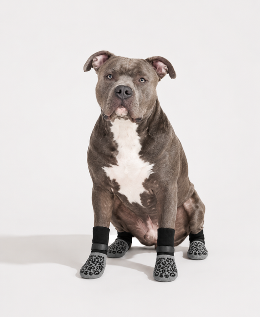 GripPaw™ | Chaussettes Antidérapantes pour Chien