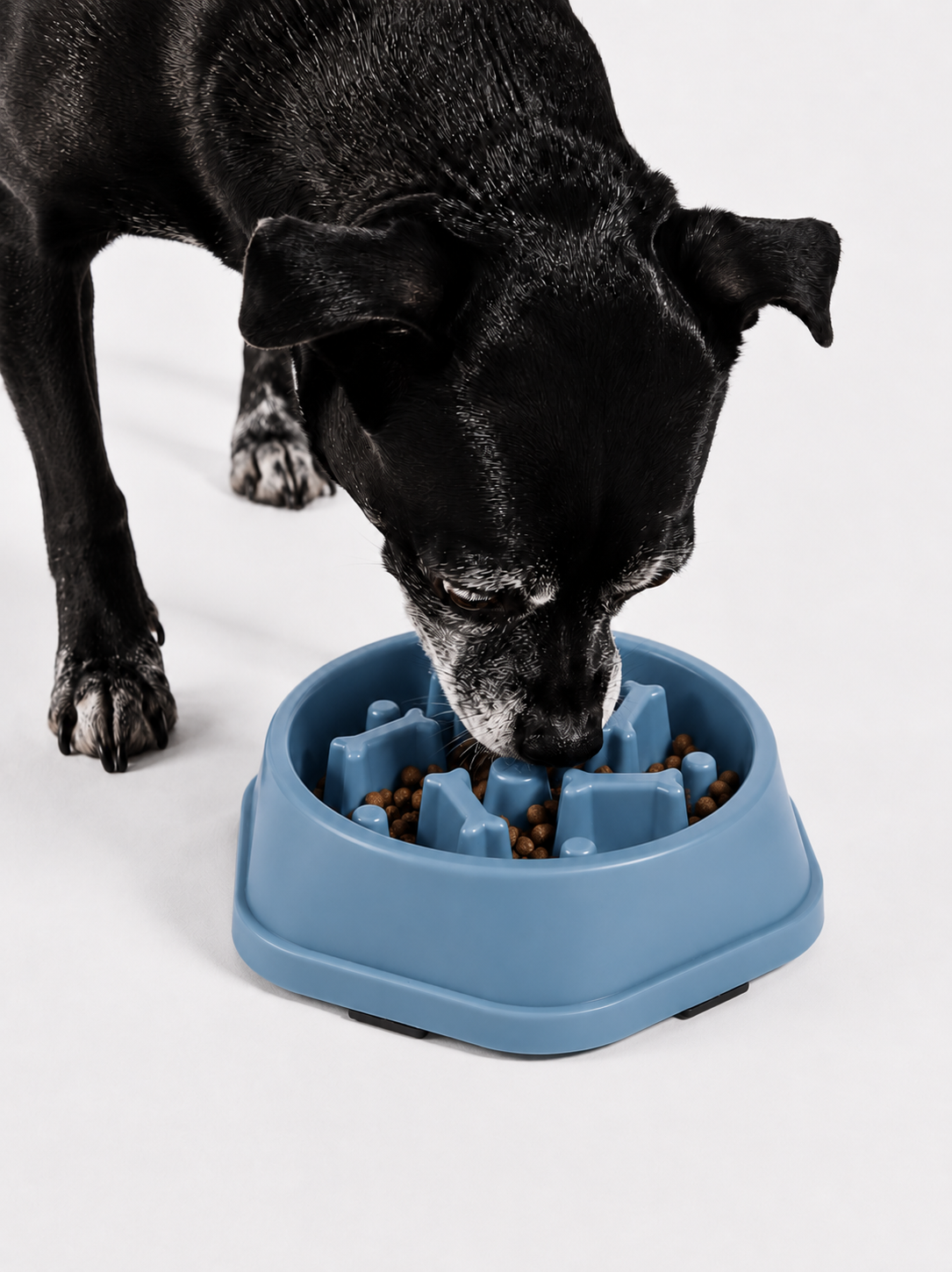 SlowPaw™ | Gamelle Anti-Glouton pour Chien