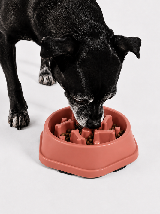 SlowPaw™ | Gamelle Anti-Glouton pour Chien