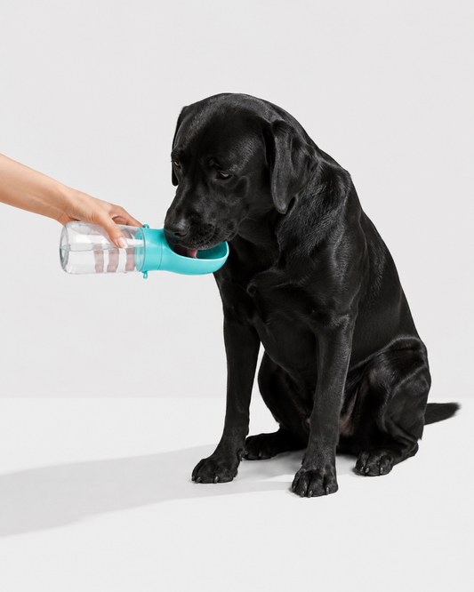 AquaPaw™ | Gourde de Voyage pour Chien