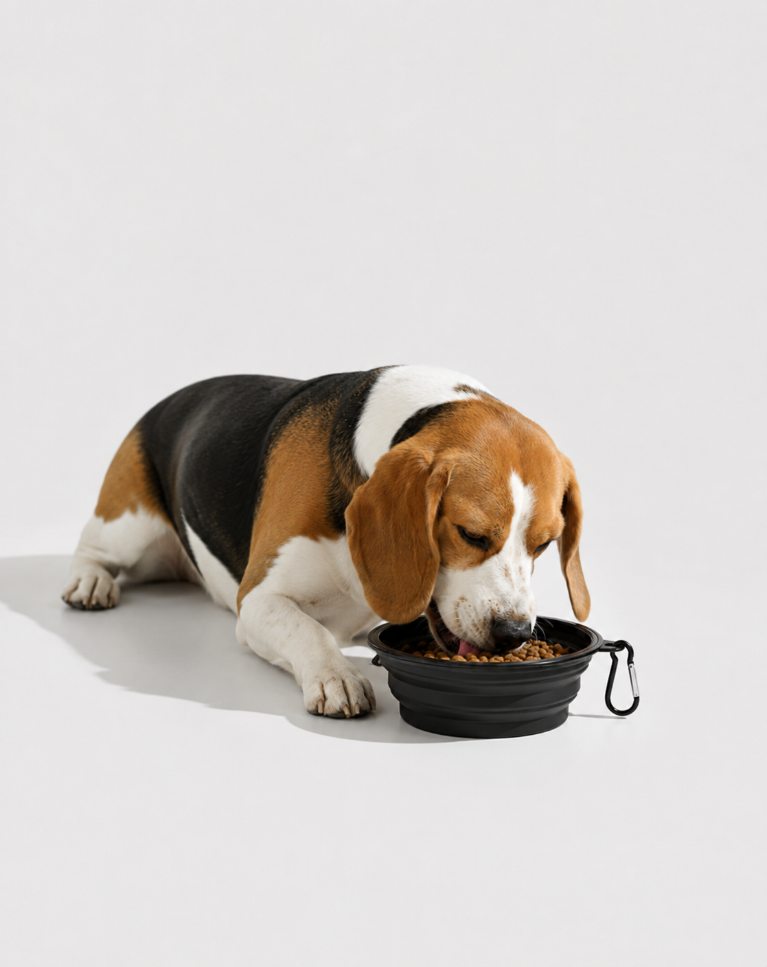 SnackPaw™ | Gamelle pliable pour Chien