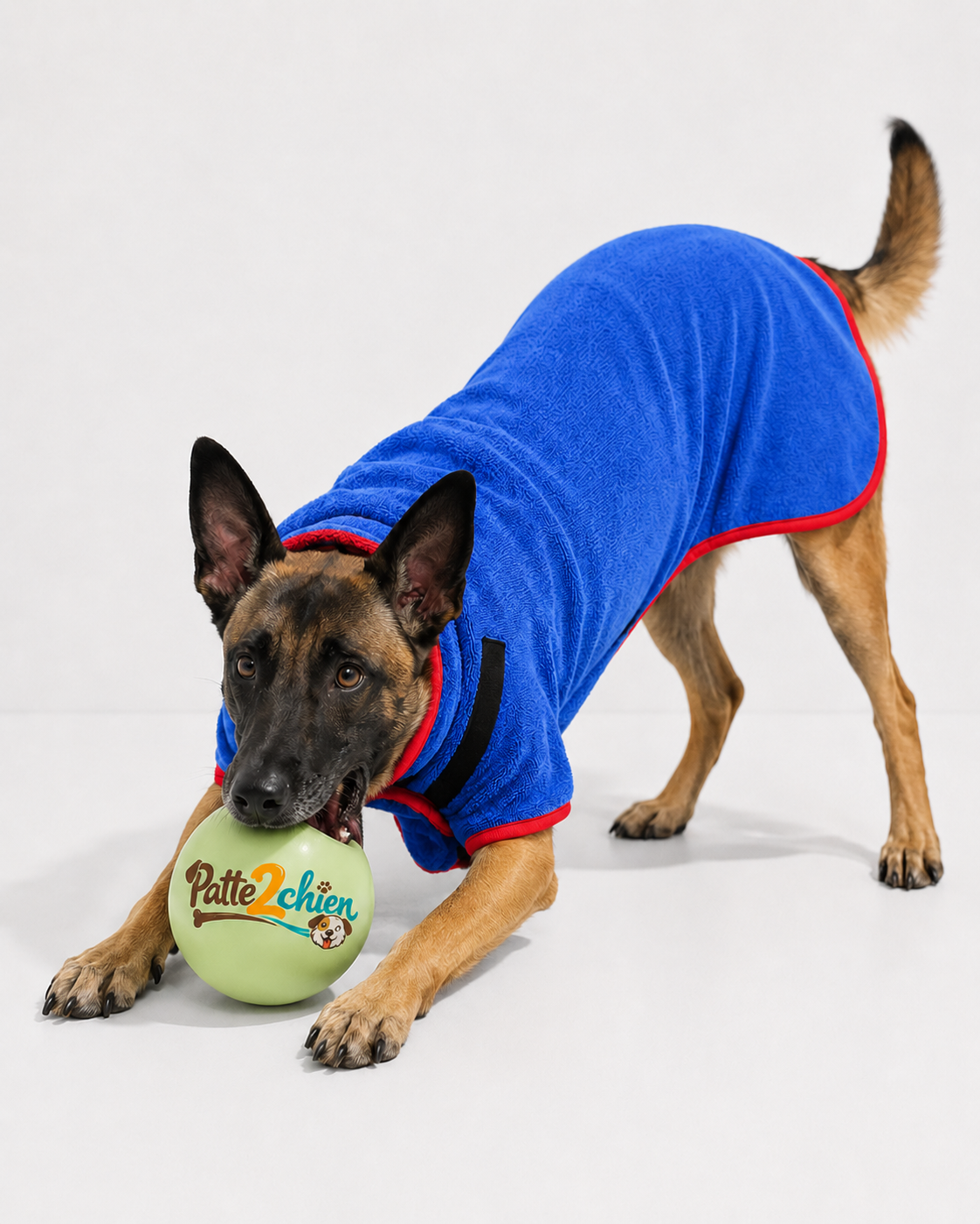 DryPaw™ | Peignoir en Microfibre pour Chien