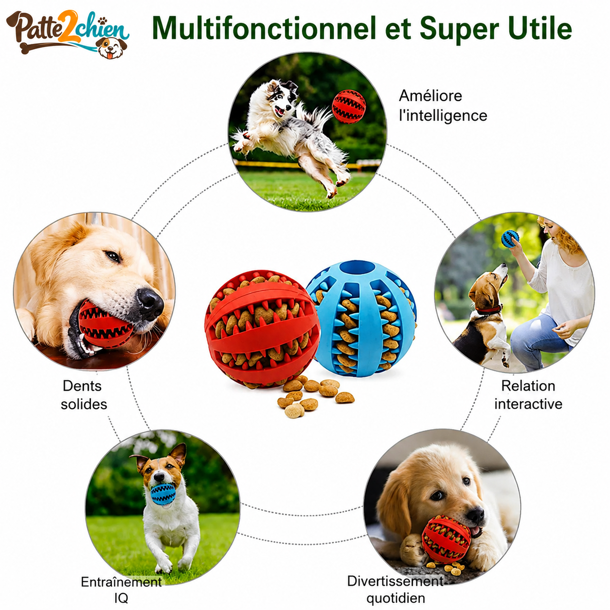 PlayPaw™ | Balle Interactive à Friandises et Dentition pour Chien