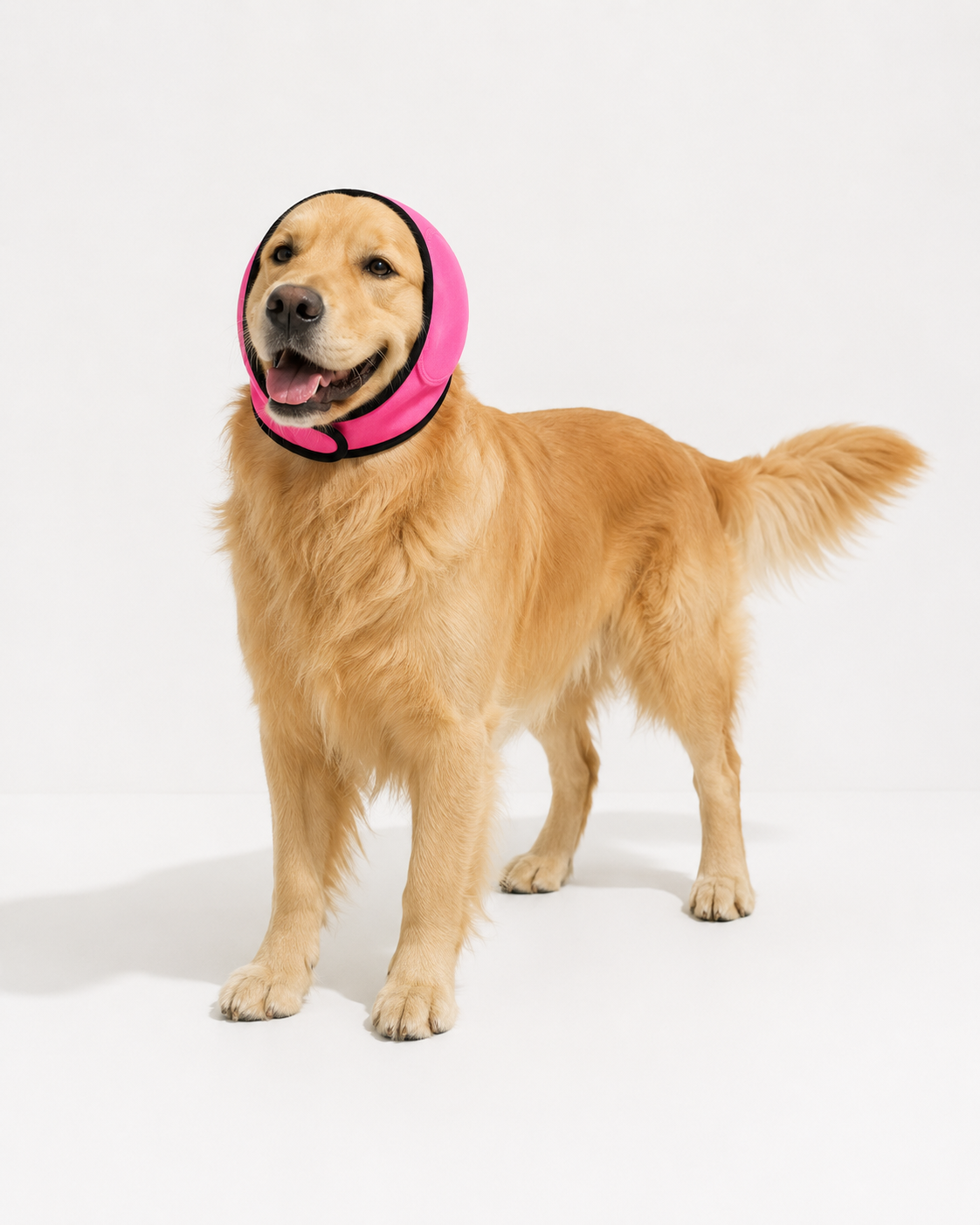 CalmPaw™ | Bonnet Anti-Bruit-Stress pour Chien