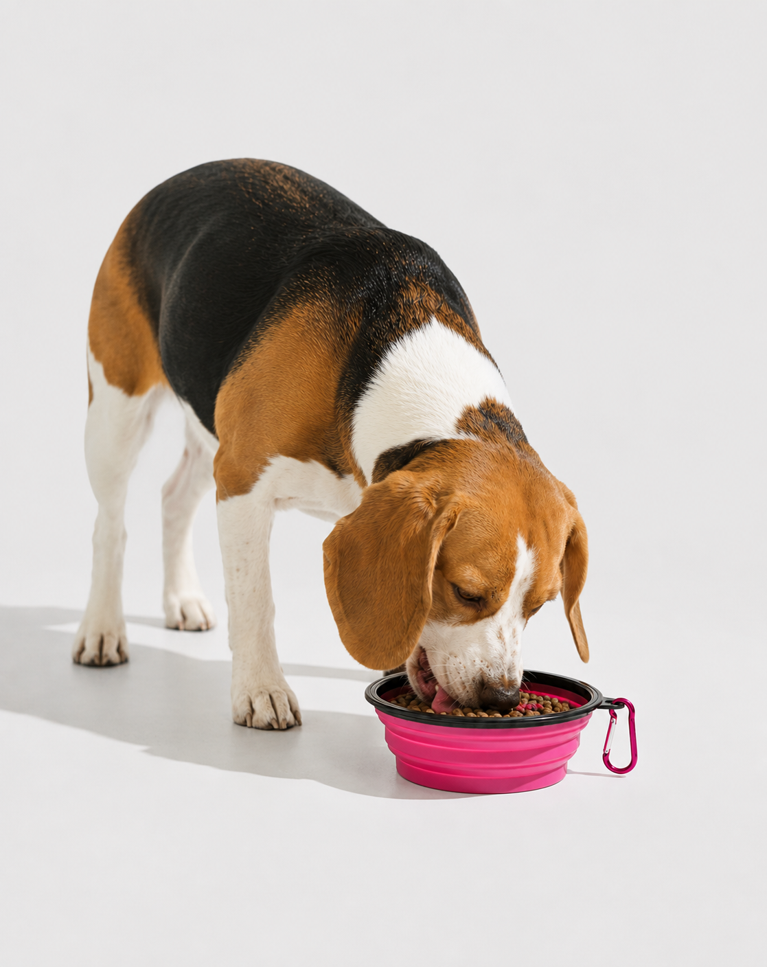 SnackPaw™ | Gamelle pliable pour Chien