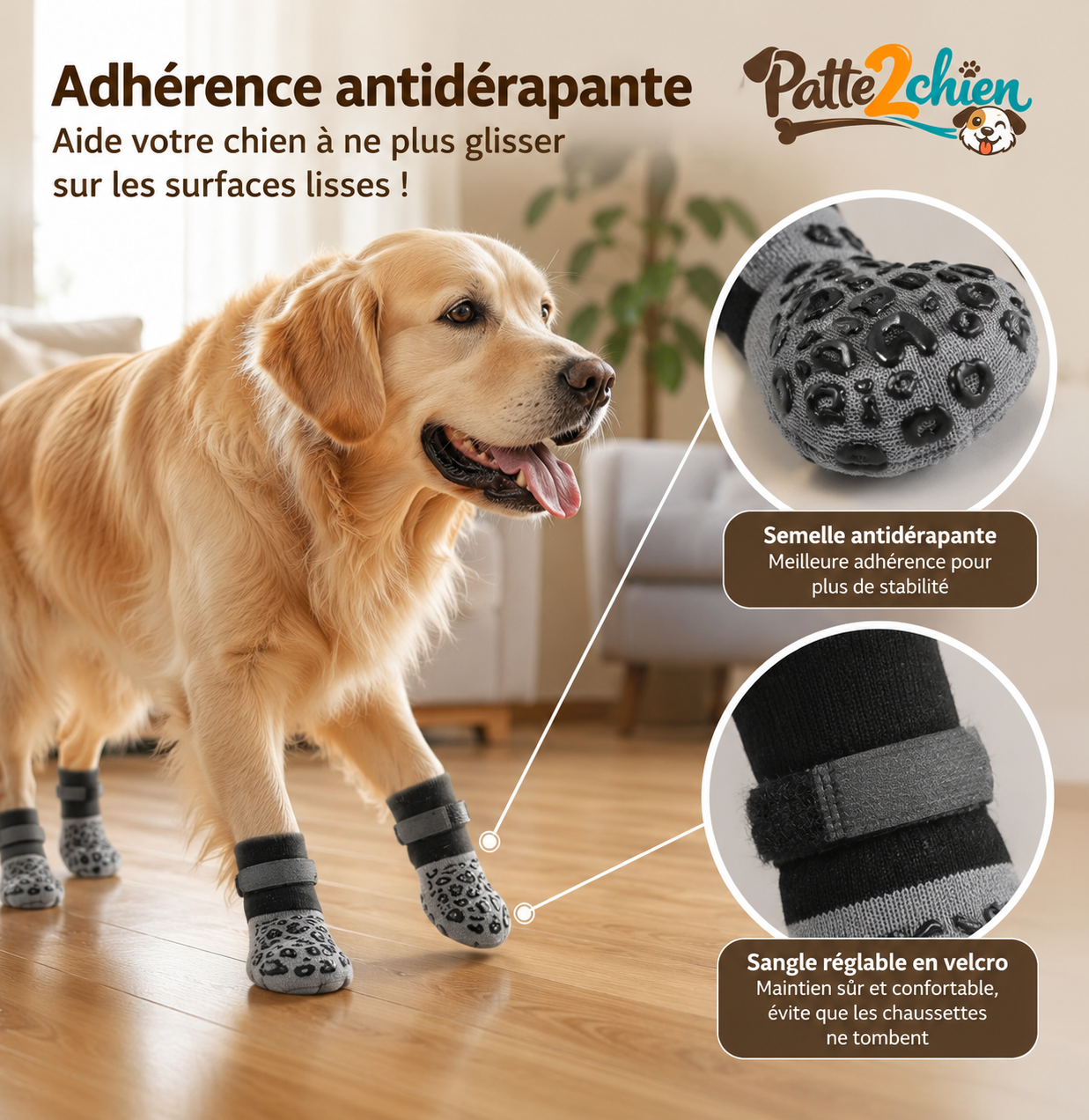 GripPaw™ | Chaussettes Antidérapantes pour Chien